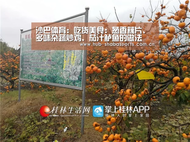 沙巴体育