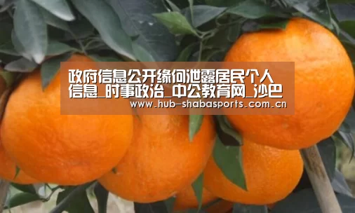 沙巴体育