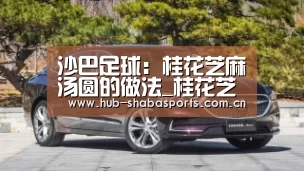沙巴足球:桂花芝麻汤圆的做法_桂花芝麻汤圆怎么做_万山红的菜谱(图4) 沙巴体育app
