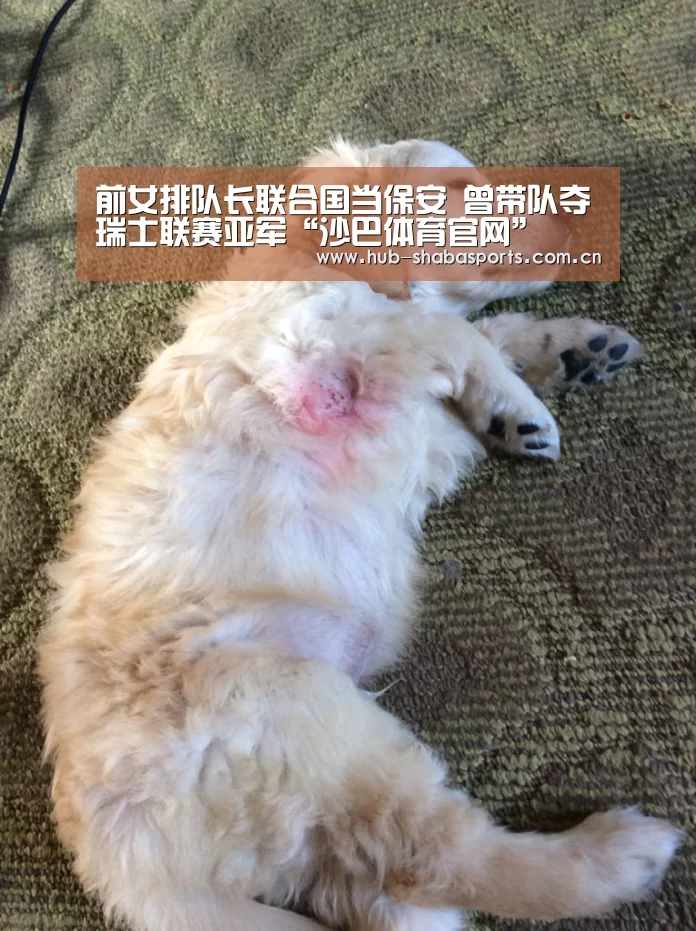 前女排队长联合国当保安 曾带队夺瑞士联赛亚军“沙巴体育官网”(图4) 沙巴体育官网